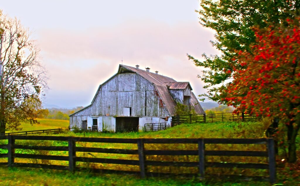 A Guide to Selecting the Perfect Barn Lighting