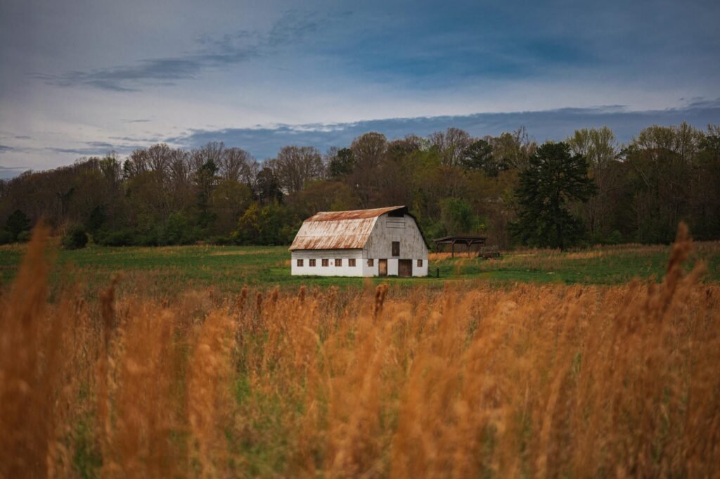 Maximizing Barn Illumination: Best Practices