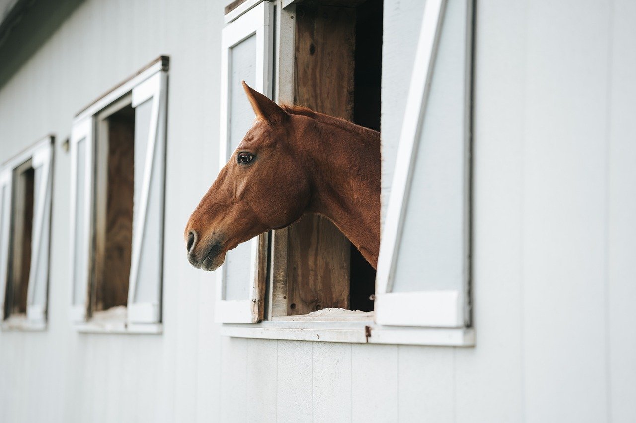 Easy DIY Tips for Barn Lighting Installation